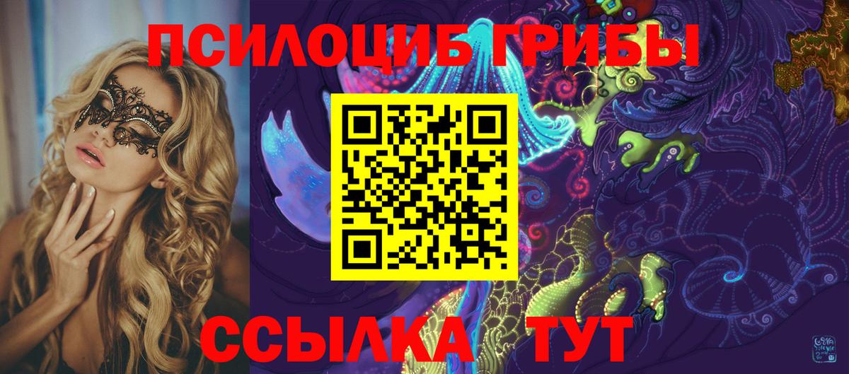 Псилоцибиновые грибы MAGIC MUSHROOMS  Вход с VPN  Гай 