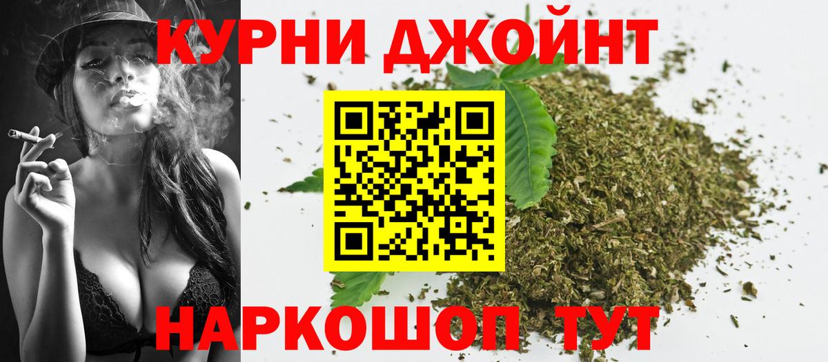 Шишки марихуана Ganja Гай